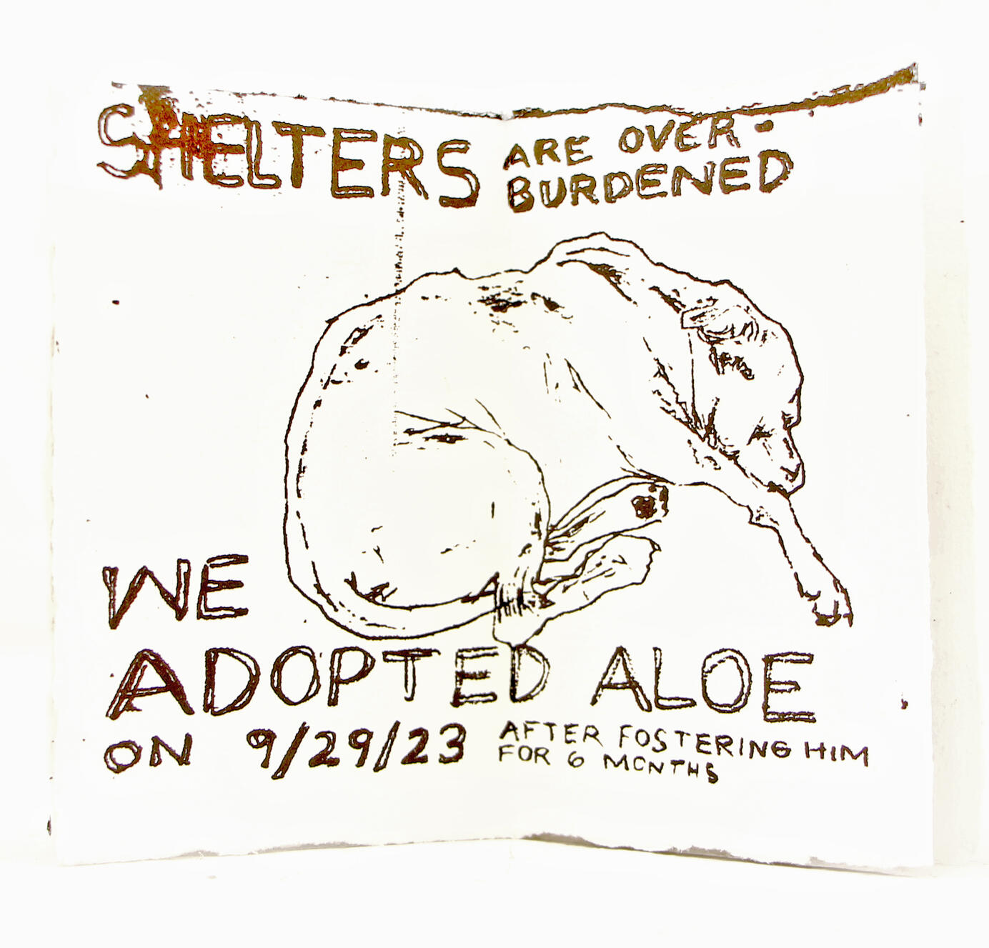 "We Adopted Aloe", 2023, Ink on paper, 4.3" × 6.3".